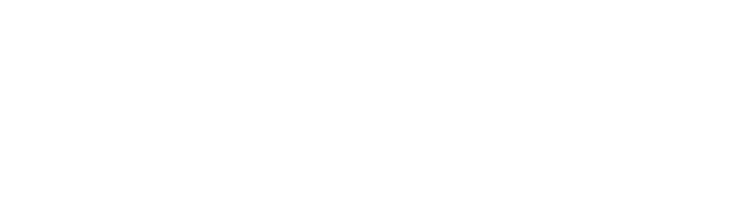 ИРЭ-Полюс - Лого